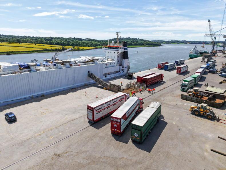 Weanling export figures down as African demand rises