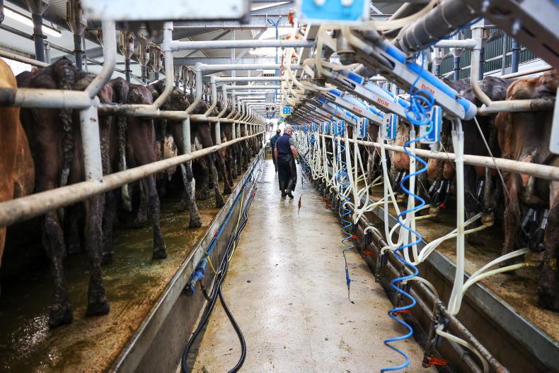 Top 10 labour saving ideas for dairy farms: milking parlour investment