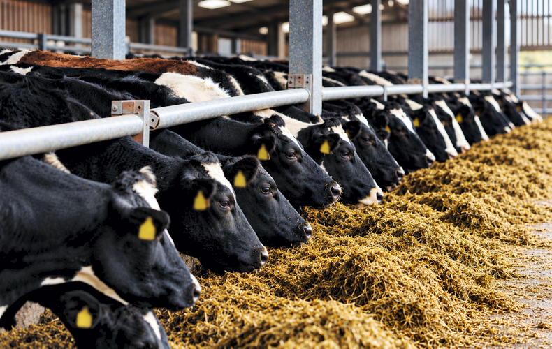 Winter vaccination: one less job for busy farmers in spring