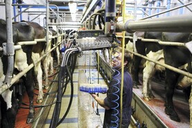 Maintaining milk quality in late autumn