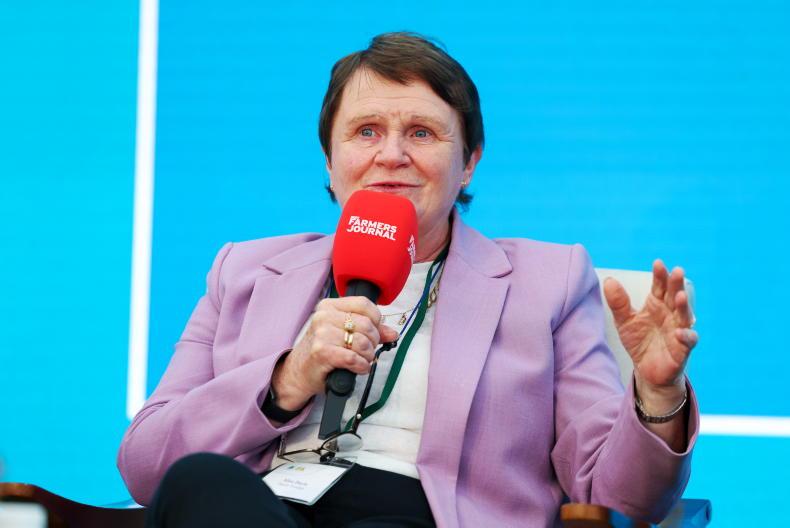 Maternity proposal is ‘good intention with no money' - IFA deputy president
