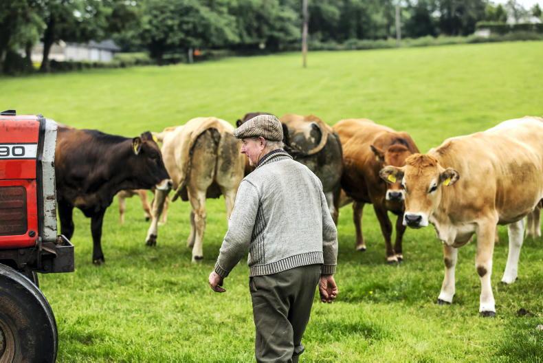 Future BISS payment rates could be means tested by sector or county farm incomes