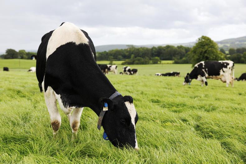 Farm tech that could save €110/cow and cut methane by 78% seeks out TAMS support