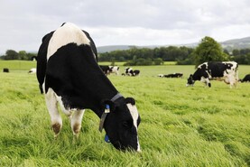 Farm tech that could save €110/cow and cut methane by 78% seeks out TAMS support