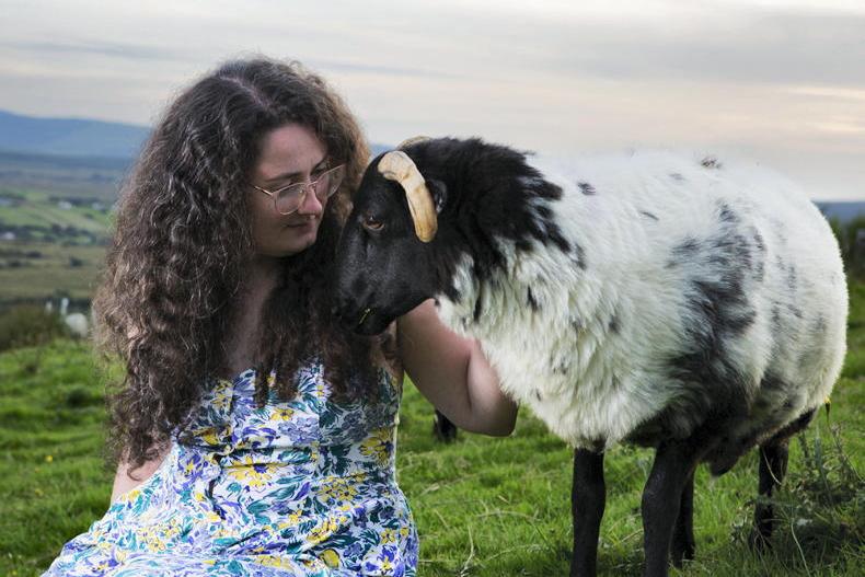 Farm diversification: how rural entrepreneurs are creating new income streams 
