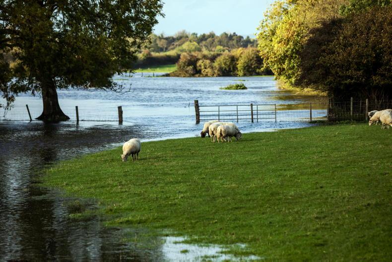 Storm Boelo to bring heavy rain and wind to west and north