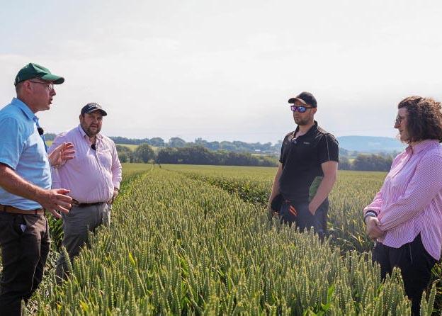 Yield Watch results ready for big reveal