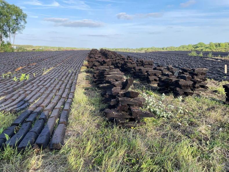 State could offer to buy bogs from landowners – minister