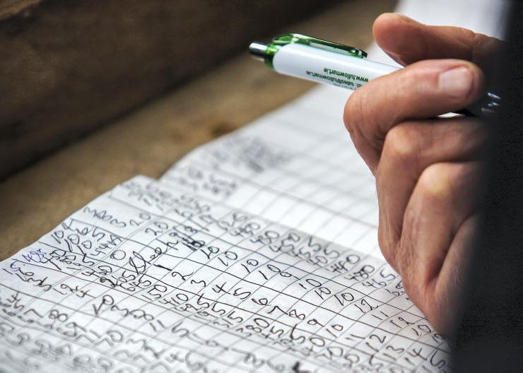 Home Farm:  a week of paperwork