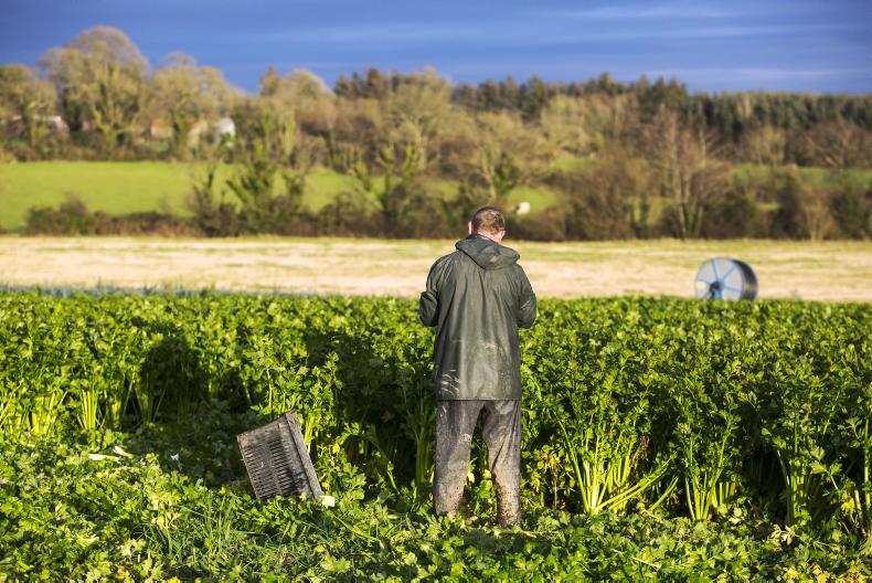 Seven in 10 Europeans believe food innovation can help farmers and food security