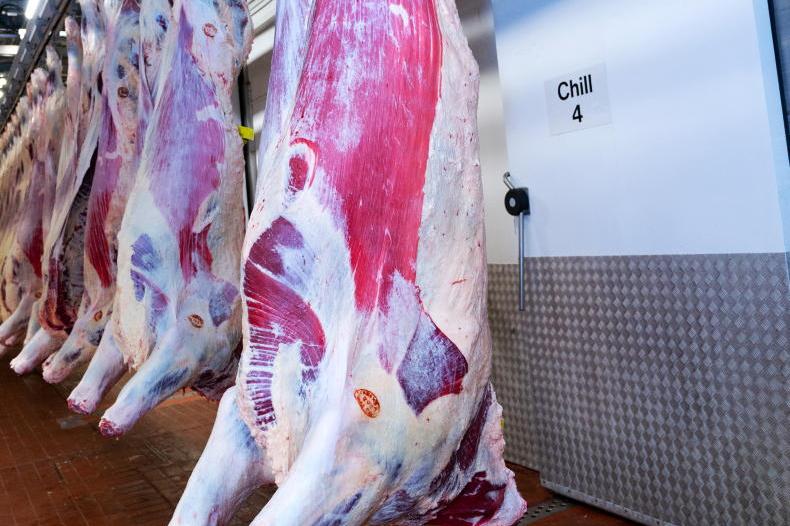 Cattle slaughtering figure for 2026 down almost 4% on 2025 levels