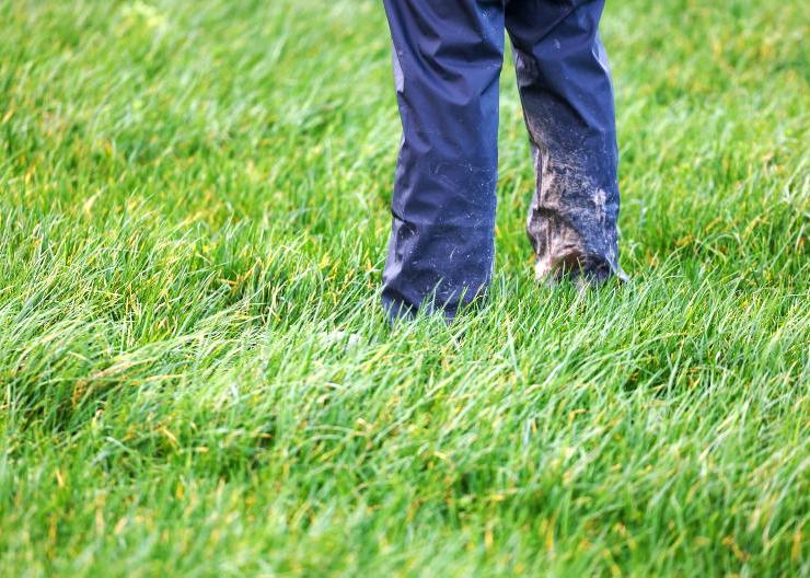 Estonian-built stump grinder is a game changer for Monaghan tree surgeon