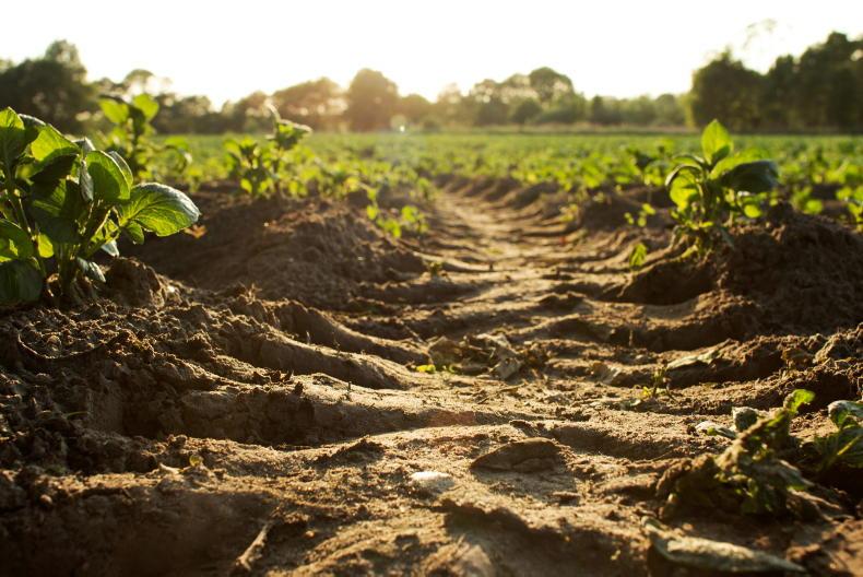 Three indicted over €3.5m farm payments fraud 