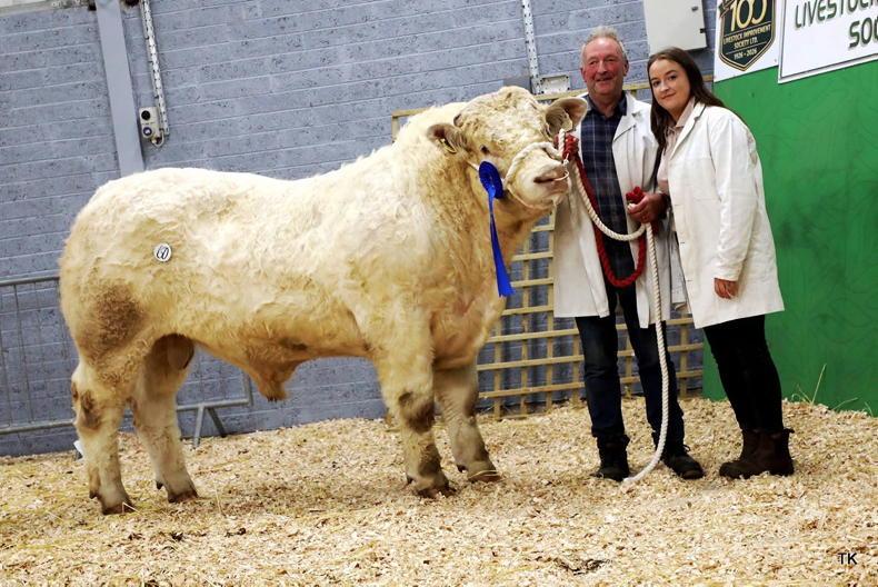 Charolais bull hits €10,000 in Carrick centenary sale