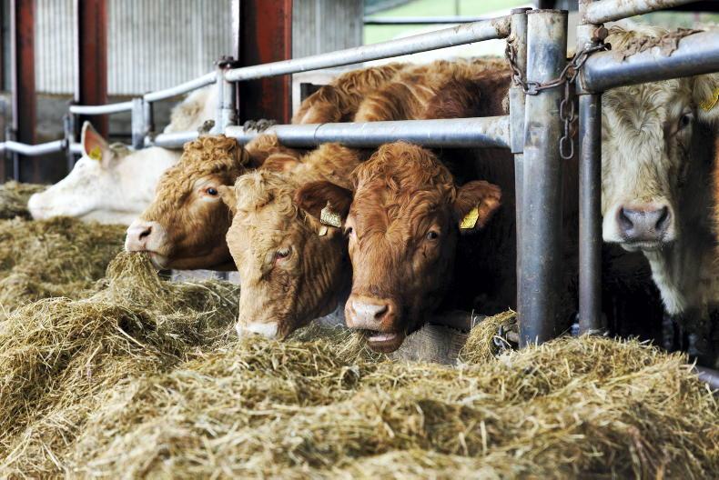 IFA claims TB levy hike before end of year is not 'done deal'