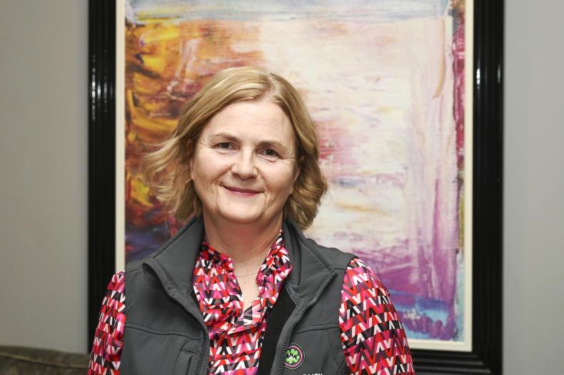 New president of Dairy Women Ireland elected