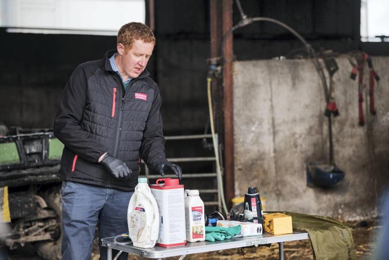 Watch the safety checks to make before dipping sheep