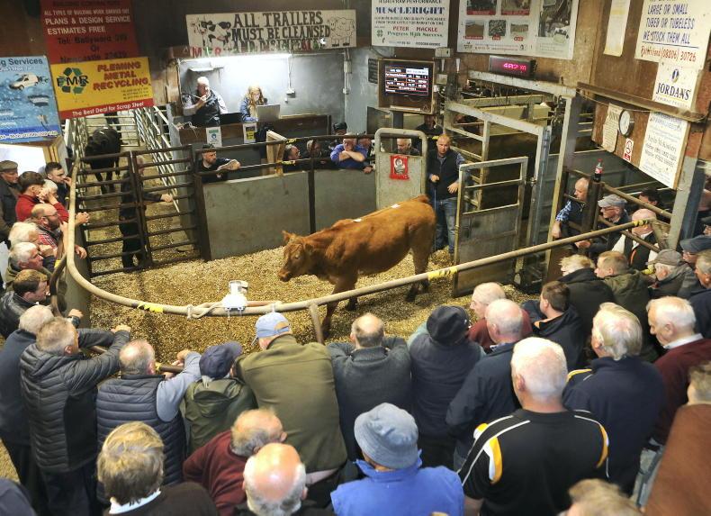 What's on in NI farming from Slurry Live to pedigree sales