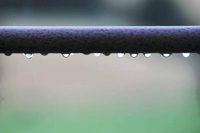 Tillage management: weather halts work, Tillage Day upon us