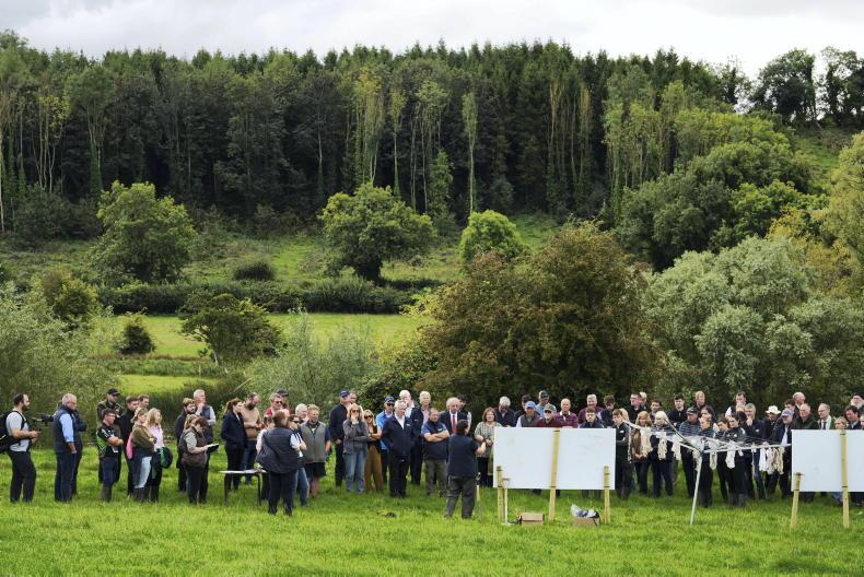 'Farm stewardship' the new eco-buzzword as CAP payments face a rethink