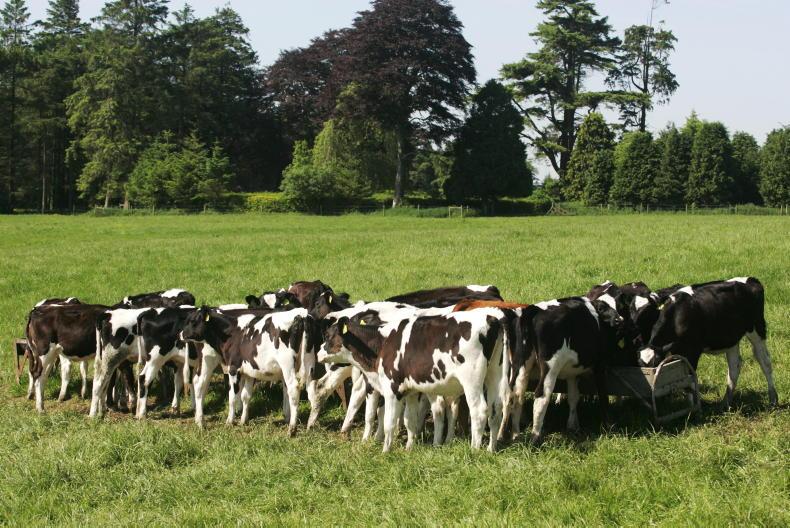 First the cows go, now the schools close