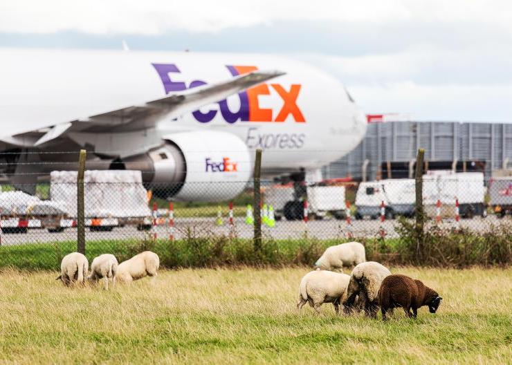 From France to Texas, boards take flight