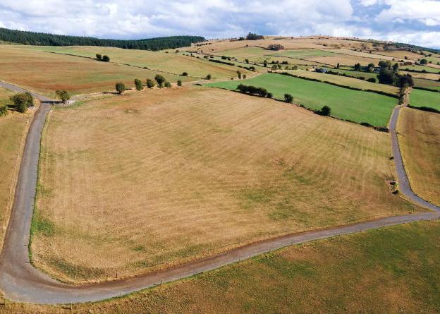 Crop and disease insurance included in new CAP