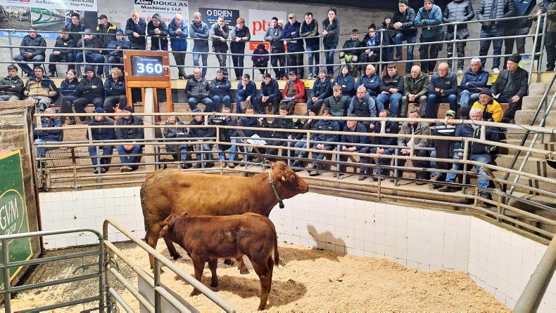 Deadline looming for schemes weight recording