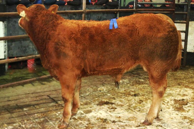 MartBids Database: prices fall across all types 