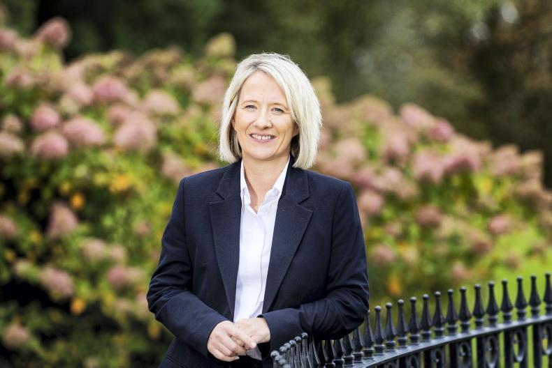 News in-brief from across NI farming