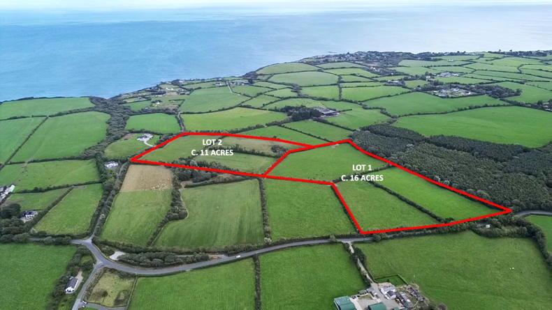 Wexford farm fetches €23,000/ac at auction