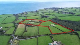 Wexford farm fetches €23,000/ac at auction