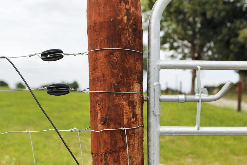 Connecting production to people will drive Ireland’s next competitive advantage 