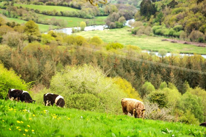 Advice on farm inspections and compliance at Teagasc water quality conference