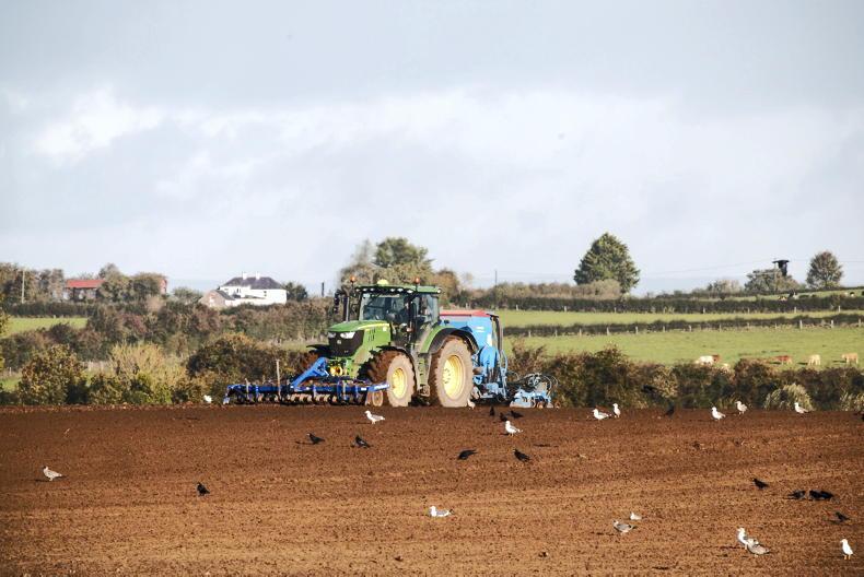 Study reveals which bird deterrents actually protect crops