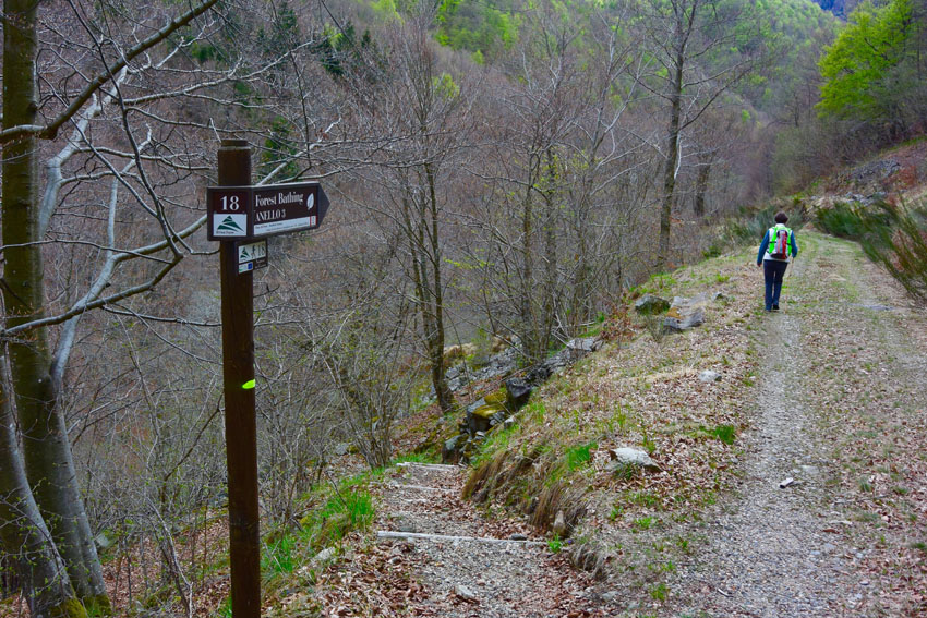 Parco Naturale Oasi Zegna 01 Parco Naturale Oasi Zegna 01