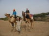 Klik om te vergroten Op onze scheetvoertuigen - Desert