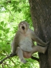 Goeiemorgen aapie! hihi