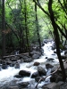 Klik om te vergroten Yosemite NP.