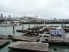 Pier 39 (San Francisco).