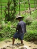 Laotiaan aan het werk op de rijstvelden in Nong Khieuw
