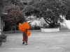 Een monnik in z\'n robes
