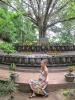 \'Buddha\' onder de Bodhi Tree