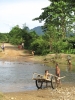 Kindjes spelen in een rivier