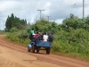 Local Transport op het Bolaven Plateau