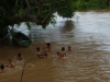 Kinderen spelen in het water op Don Det