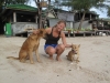Klik om te vergroten Esther met haar nieuwe vriendjes, Sausage en Goldy. Koh Tao