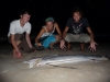 Klik om te vergroten Spoelt er opeens een sailfish aan, Koh Tao(zwemmen 110km/h!!!)