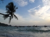 Klik om te vergroten Palmbomen op het strand, Koh Tao