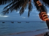 Klik om te vergroten Taxibootjes op Koh Tao